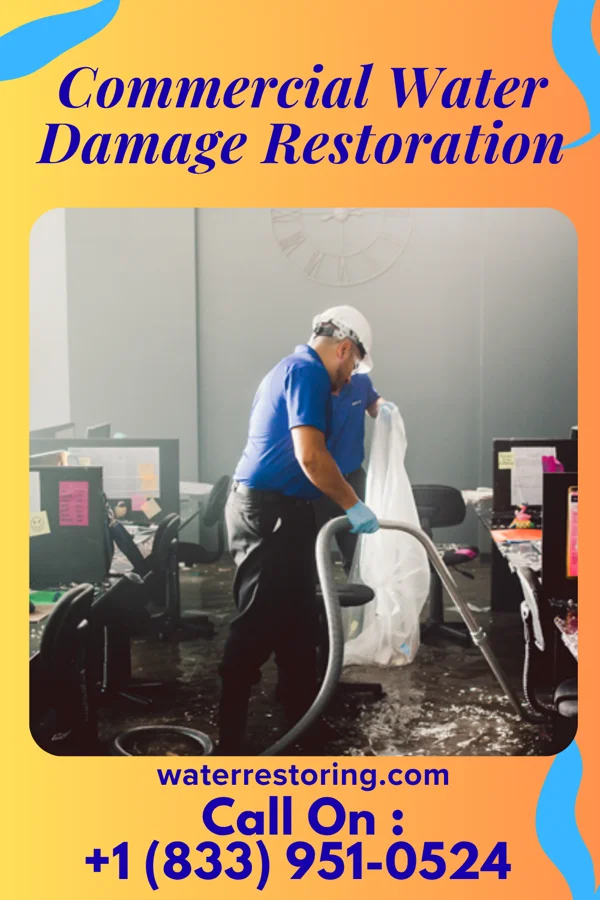 Commercial Water Damage Restoration in Amboy, MN