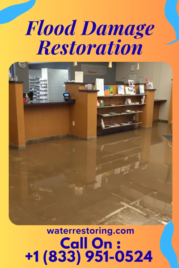 Flood Damage Restoration in Amboy, MN