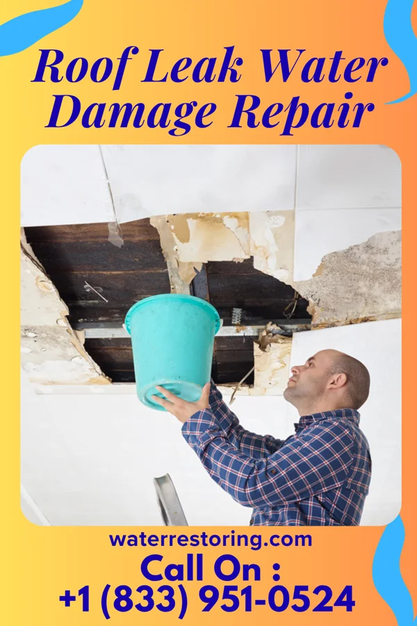 Roof Leak Water Damage Repair in Amboy, MN