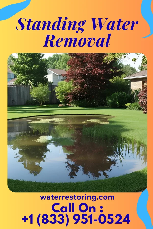 Standing Water Removal in Amboy, MN